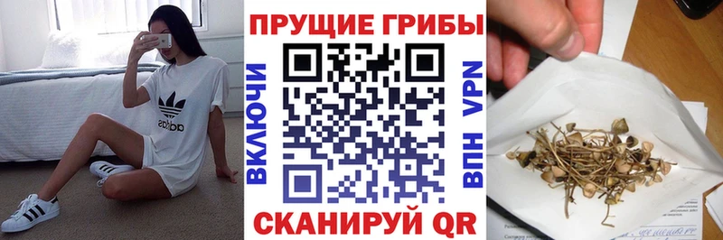 Купить  Боровичи  Псилоцибиновые грибы ЛСД 